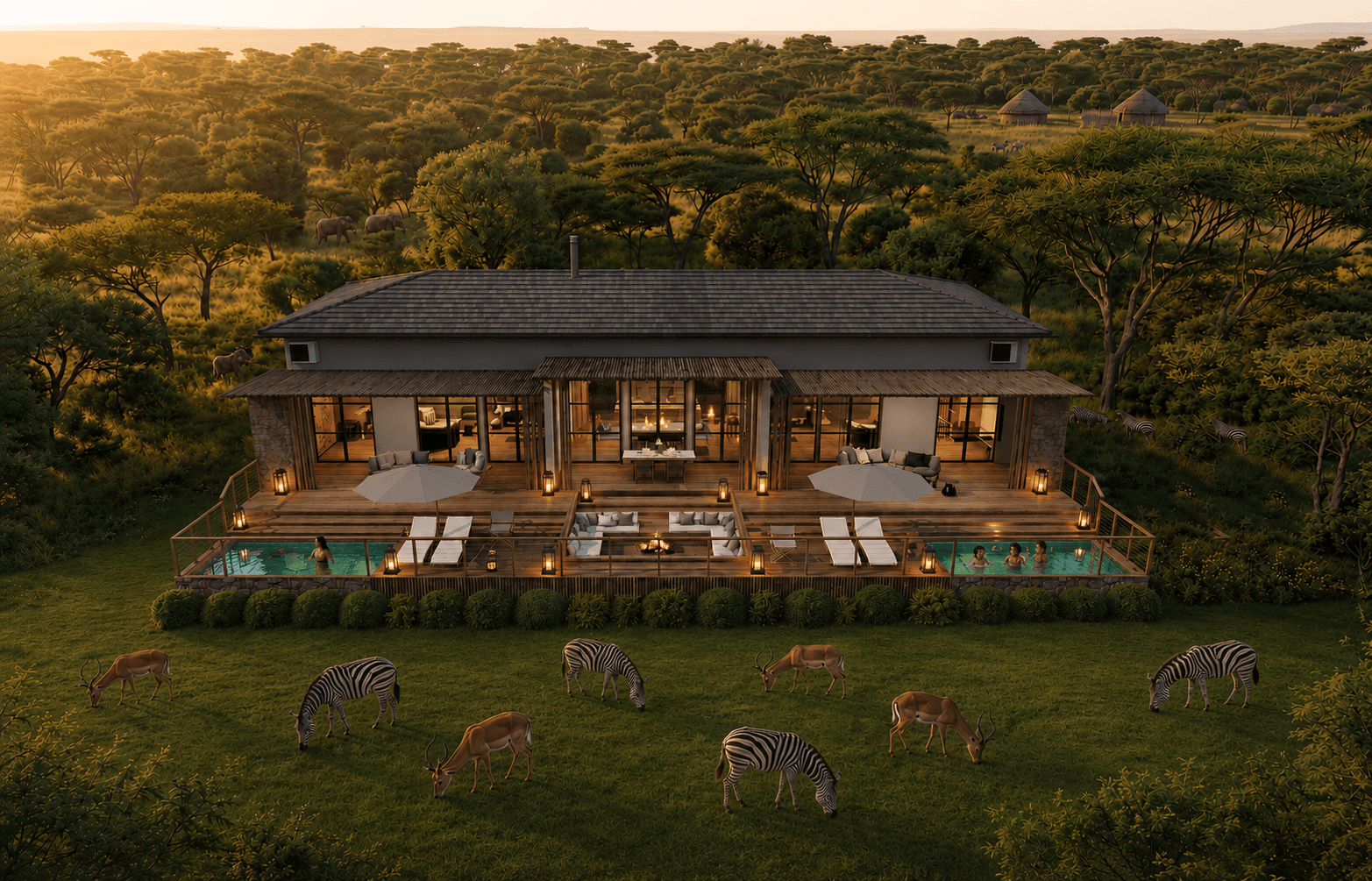 Golden-hour light on the conservancy — grazing zebra and impala in the foreground
