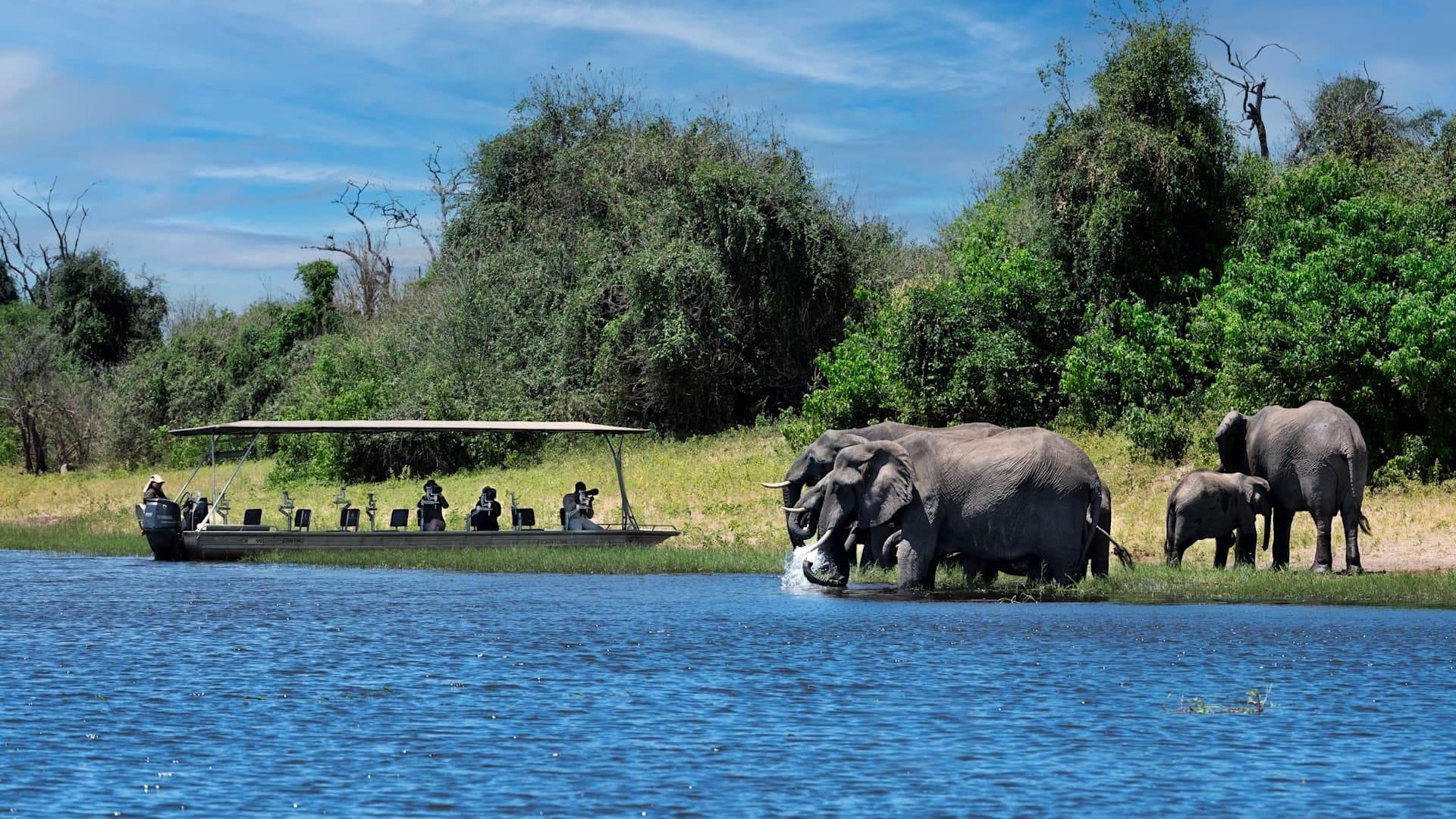 A photographic boat on the Chobe River, Botswana