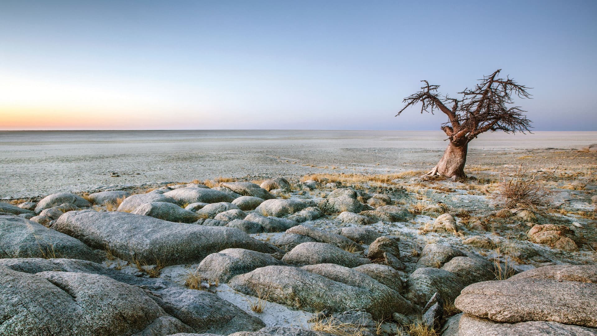The Makgadikgadi Pans