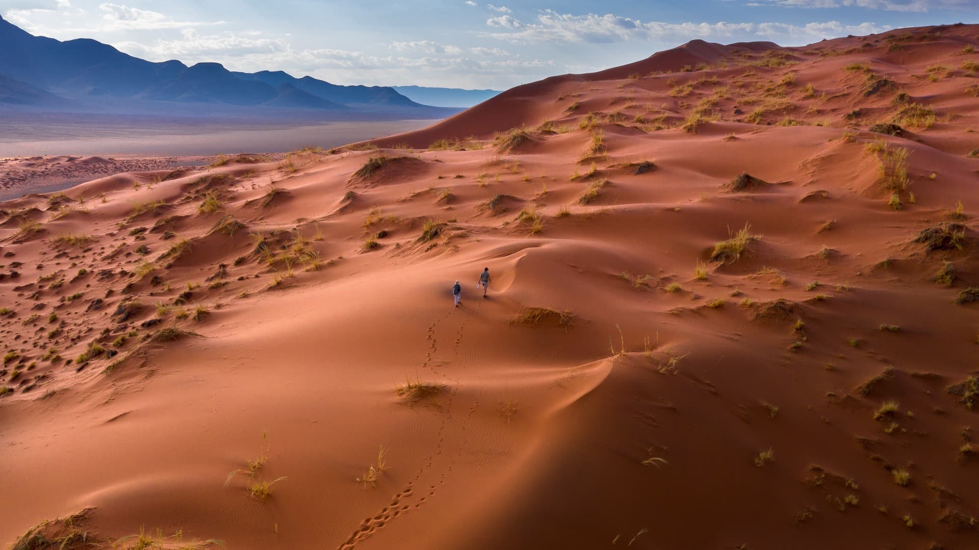 A walker on the red dunes at Sossusvlei, Namibia